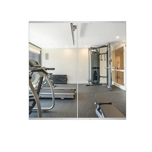 Delma Home Gym Mirror, 48" x 24", 2-Pack