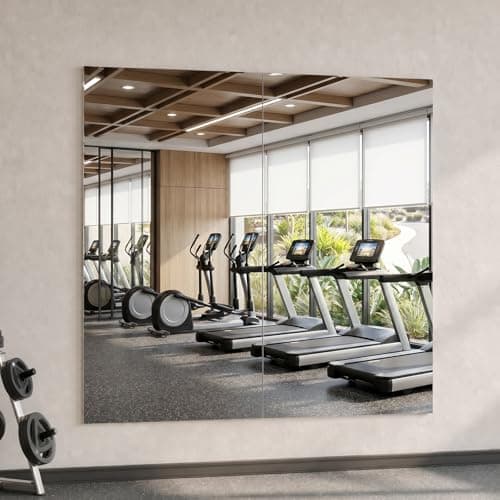 brisafe Gym Mirror, 48" x 24", 2-Pack Magnetic No-Drill