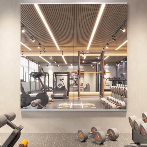 pertetey Home Gym Mirrors, 56" x 16", 2-Pack